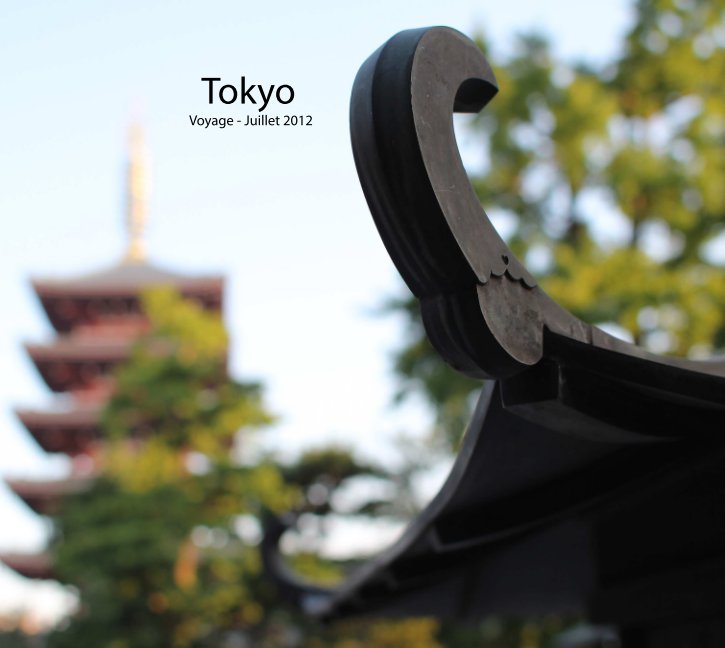 Ver Tokyo por Matthieu Romeyer