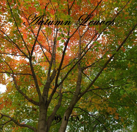 View Autumn Leaves by L.I.A
