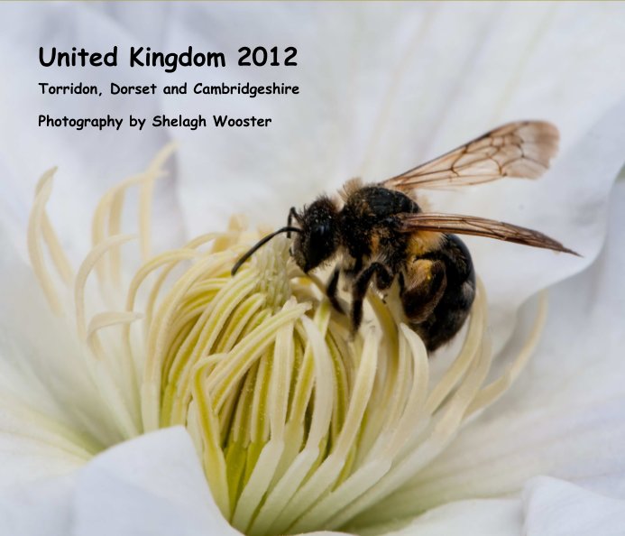 Visualizza United Kingdom 2012 di Shelagh Wooster