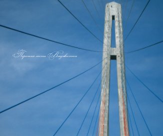 Пересекая мосты Владивостока book cover