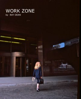 WORK ZONE book cover