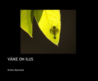 VÄIKE ON ILUS book cover