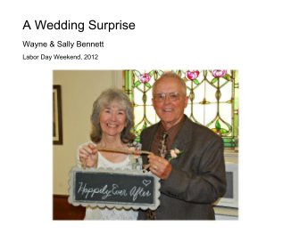 A Wedding Surprise book cover