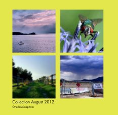Collection August 2012 book cover