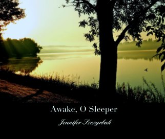 Awake, O Sleeper book cover