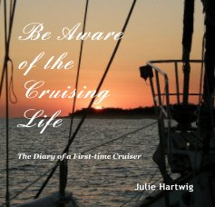Be Aware of the Cruising Life book cover