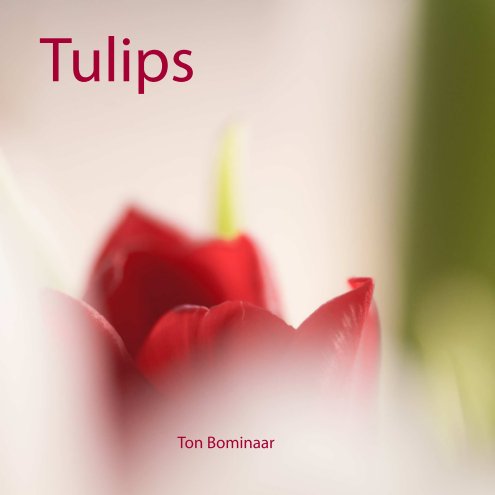 View Tulips by Ton Bominaar