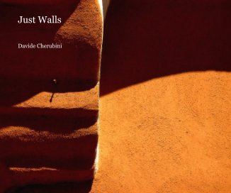 Just Walls book cover
