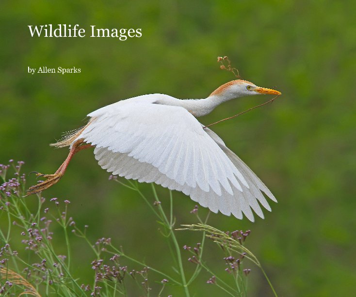 Visualizza Wildlife Images di Allen Sparks