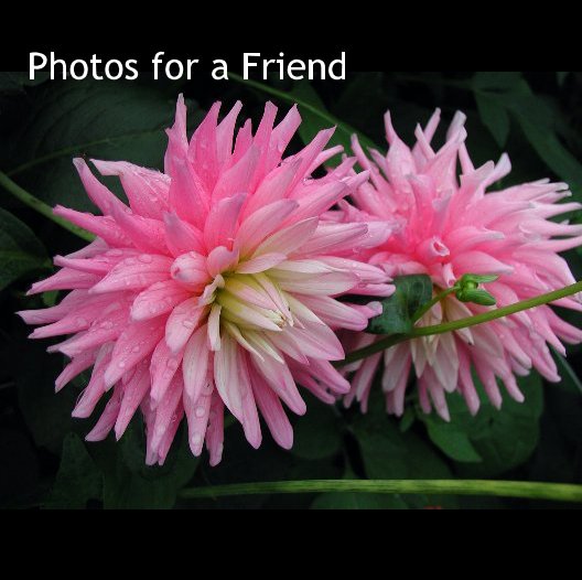 View Photos for a Friend by Ron Graybill