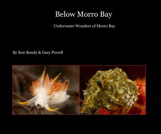 Below Morro Bay book cover