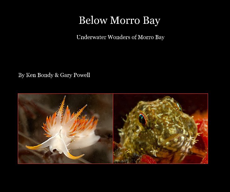 View Below Morro Bay by Ken Bondy & Gary Powell