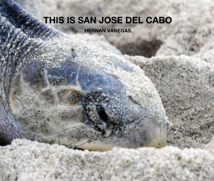 THIS IS SAN JOSE DEL CABO Hernan Vanegas book cover