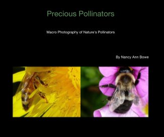 Precious Pollinators book cover