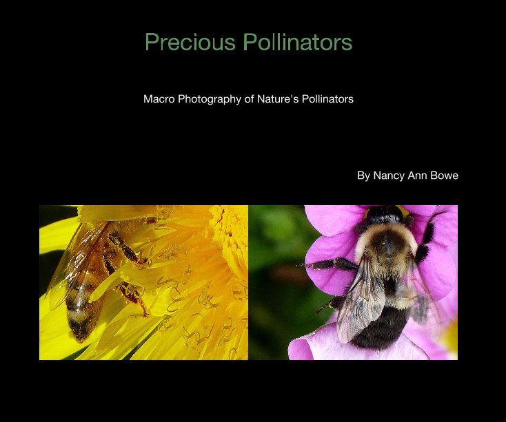 View Precious Pollinators by Nancy Ann Bowe