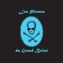 Les Pirates du Grand Boisé book cover