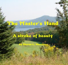 The Master's Hand book cover