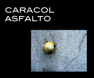 CARACOL ASFALTO book cover