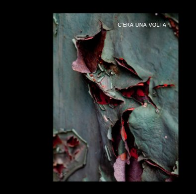 C'ERA UNA VOLTA ... book cover