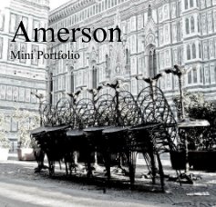 Amerson Mini Portfolio book cover