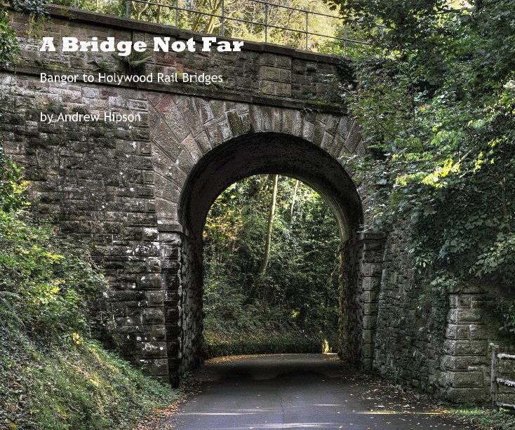 View A Bridge Not Far by Andrew Hipson