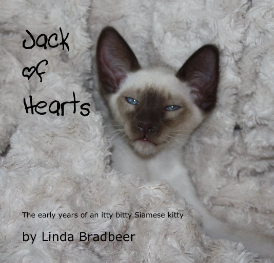 Visualizza Jack of Hearts di Linda Bradbeer