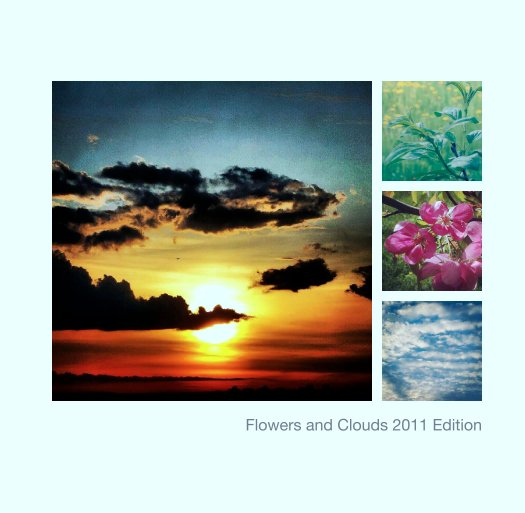 View Flowers and Clouds 2011 Edition by Soloartiste