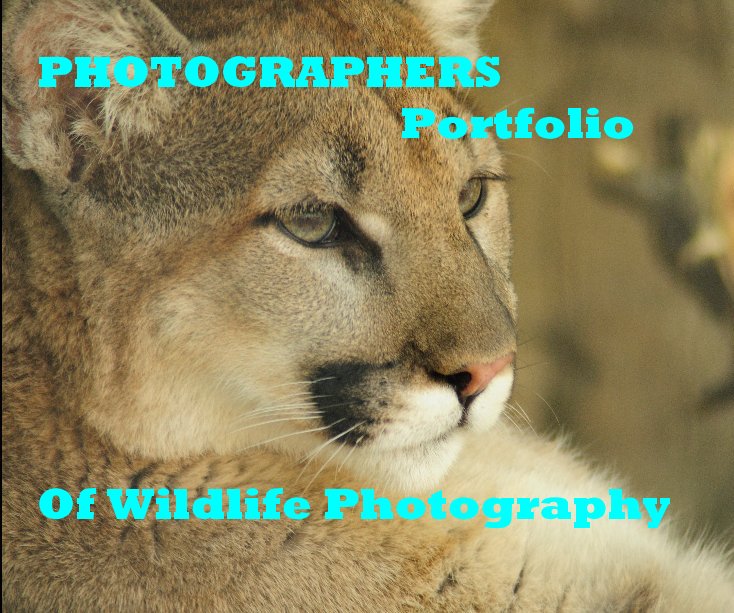 Ver PHOTOGRAPHERS Portfolio Of Wildlife Photography por joanne Crawford