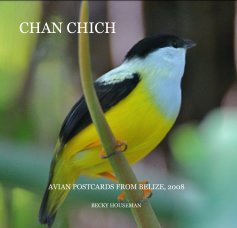 CHAN CHICH book cover