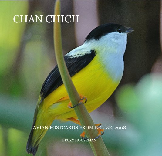 View CHAN CHICH by BECKY HOUSEMAN