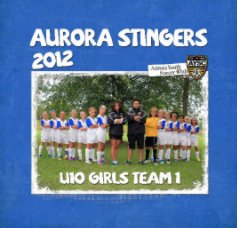 Aurora Stingers 2002 Girls Team 1 book cover
