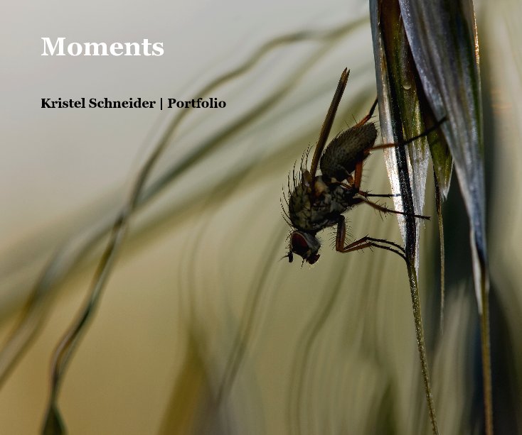 Ver Moments por Kristel Schneider | Portfolio