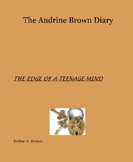 The Andrine Brown Diary book cover