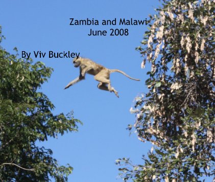 Zambia and Malawi June 2008 book cover