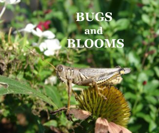 BUGS and BLOOMS book cover