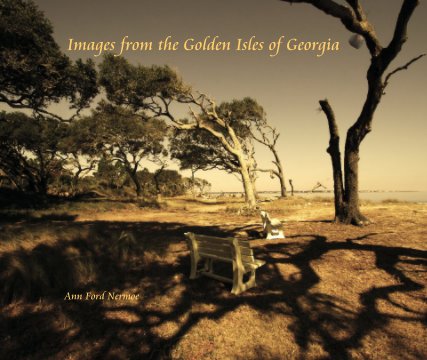 Images from the Golden Isles of Georgia book cover