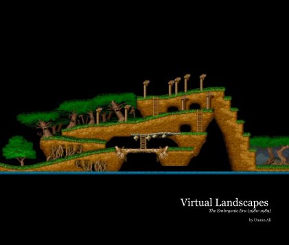 Virtual Landscapes 1 book cover