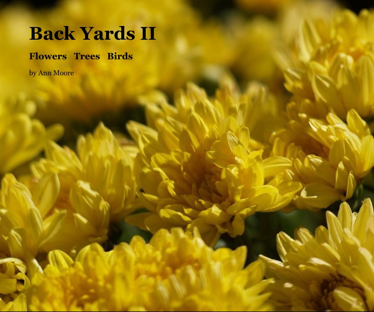 Visualizza Back Yards II di Ann Moore
