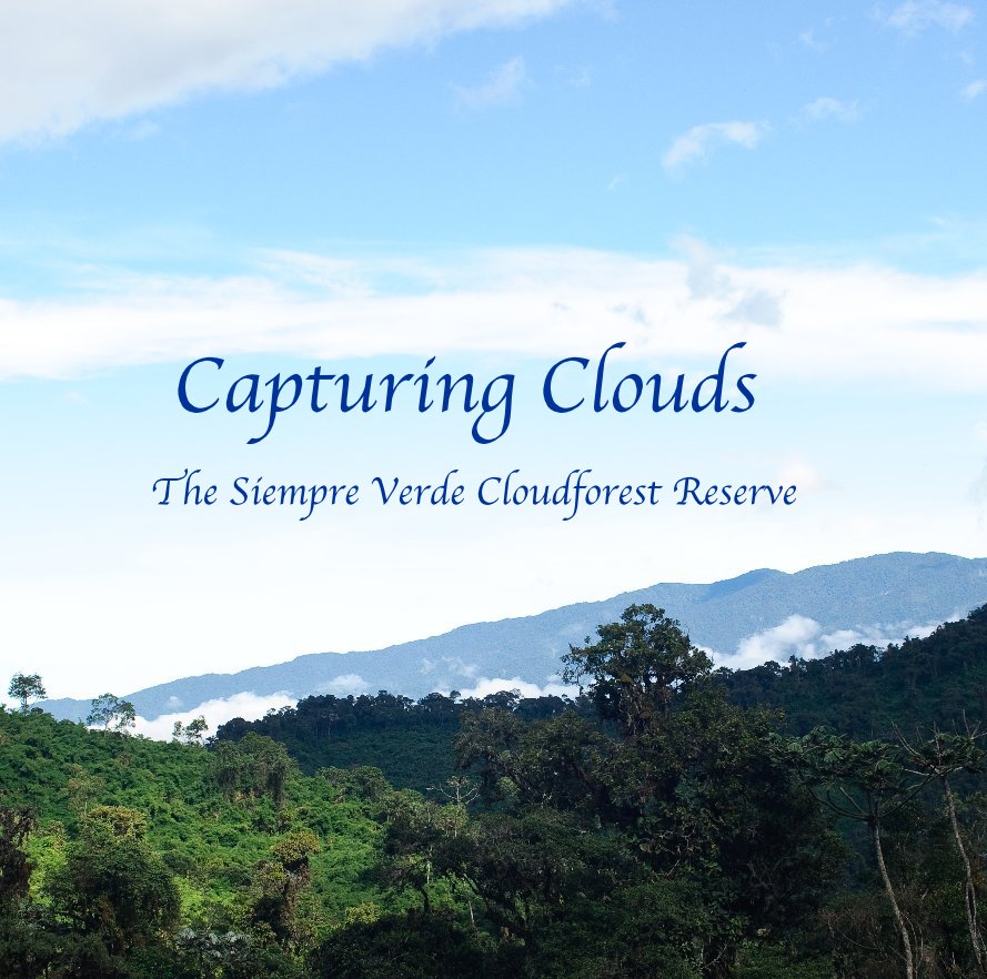 Ver Capturing Clouds por rey_alejo