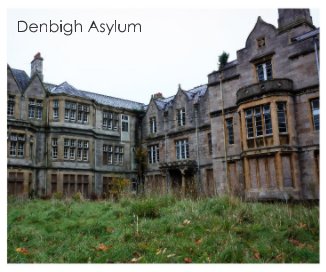 Denbigh Asylum book cover