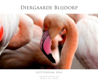 DIERGAARDE BLIJDORP book cover