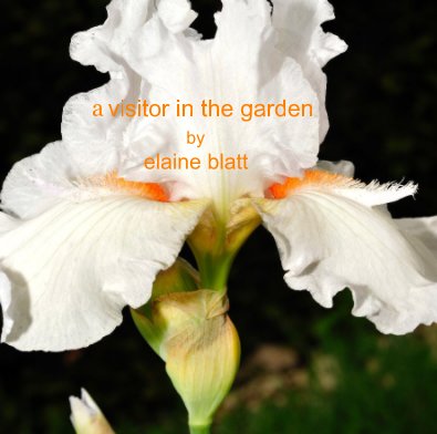 a visitor in the garden by elaine blatt book cover