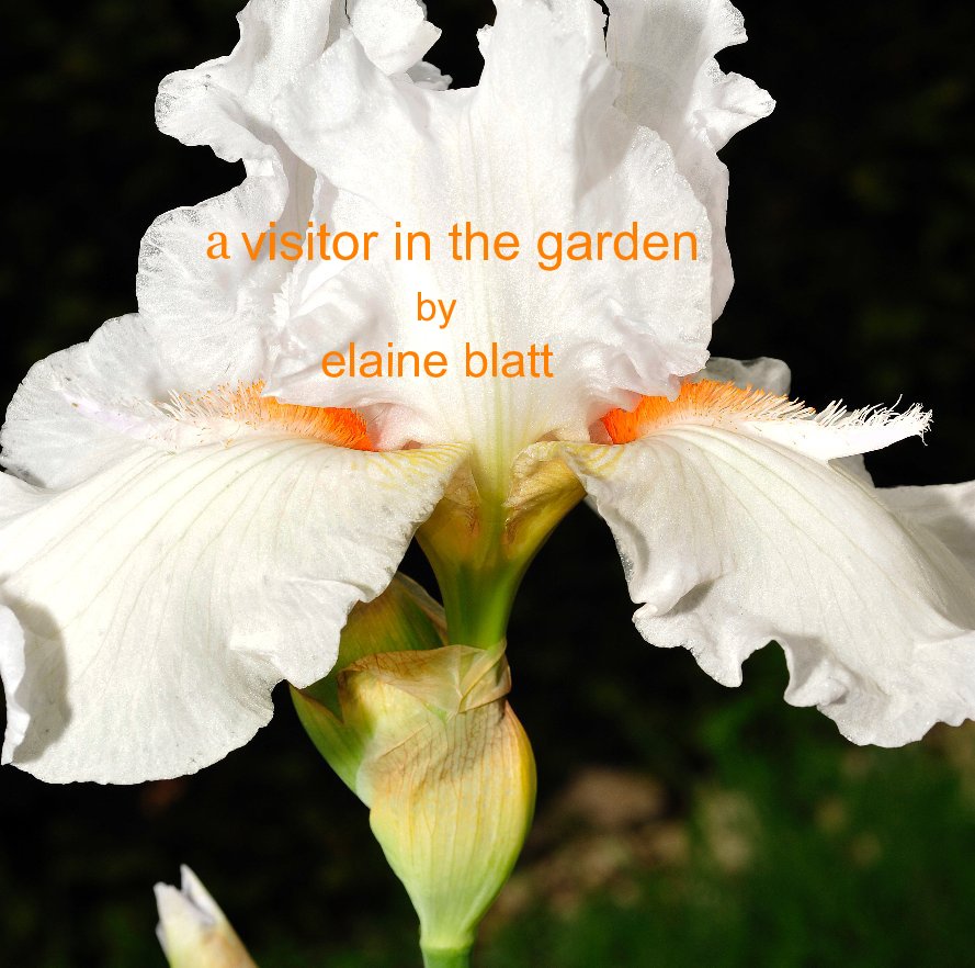 a visitor in the garden by elaine blatt nach lanieblatt anzeigen