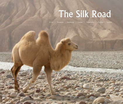 The Silk Road book cover