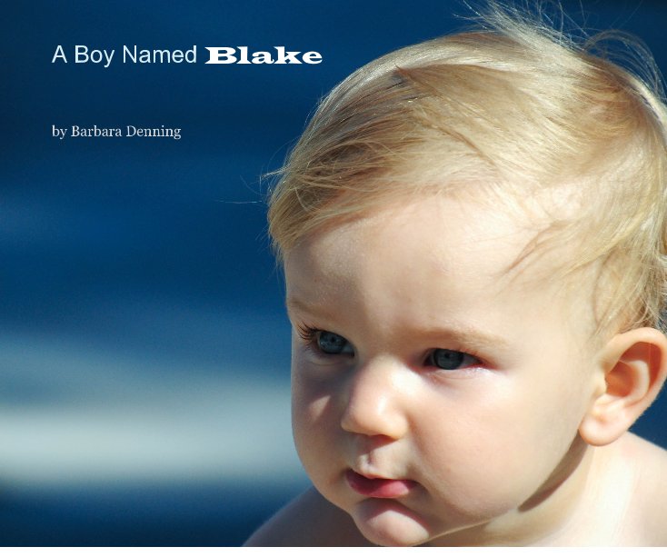 View A Boy Named Blake by Barbara Denning