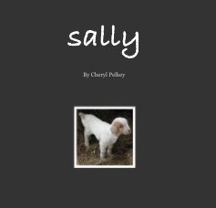 sally book cover