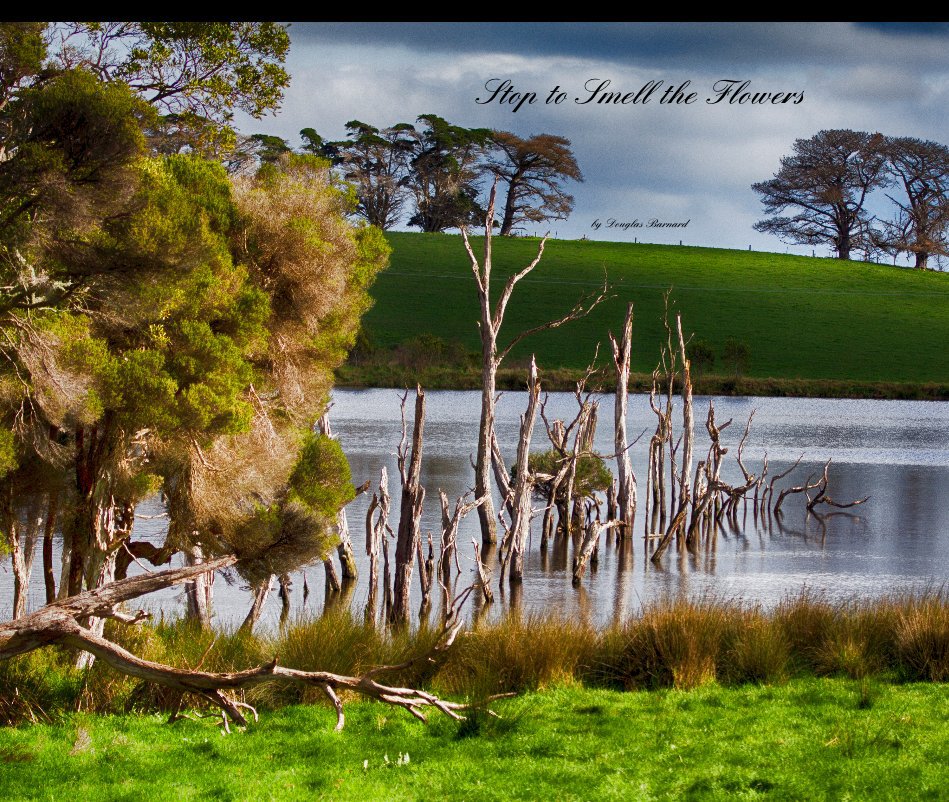 View Stop to Smell the Flowers by Douglas Barnard