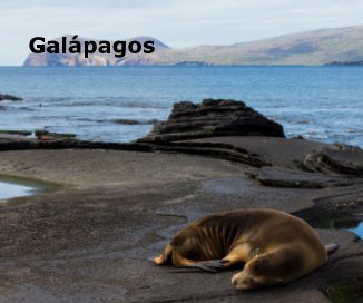 Galápagos book cover