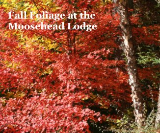 Fall Foliage at the Moosehead Lodge book cover