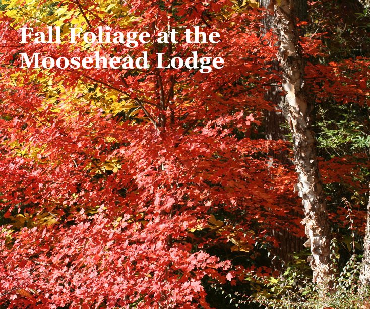 View Fall Foliage at the Moosehead Lodge by Gerry Carley